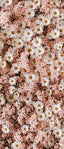 Spring Must Haves